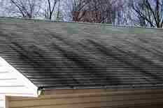 algae removal for roof damage prevention