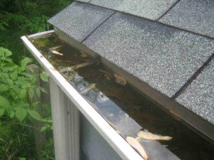 gutter cleaning services tips