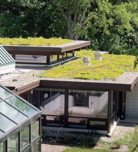 green roofing phoenix