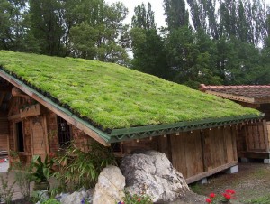 green roof