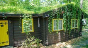 green roofing columbus ohio