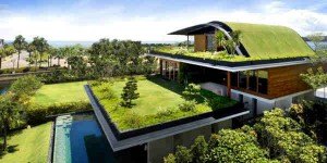 green roofing in denver