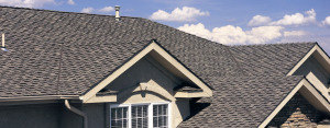 roofing trivia